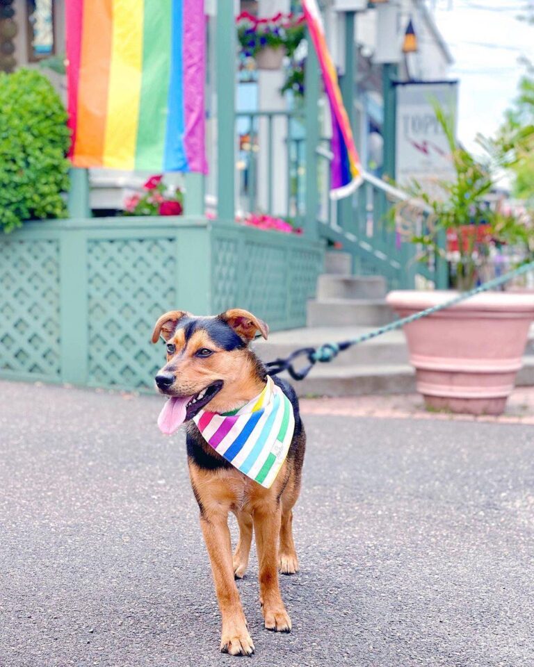 237456049_4232406976808915_3045591063403406510_n