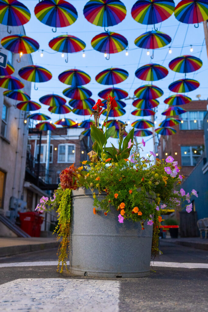 Gay Street Art Alley