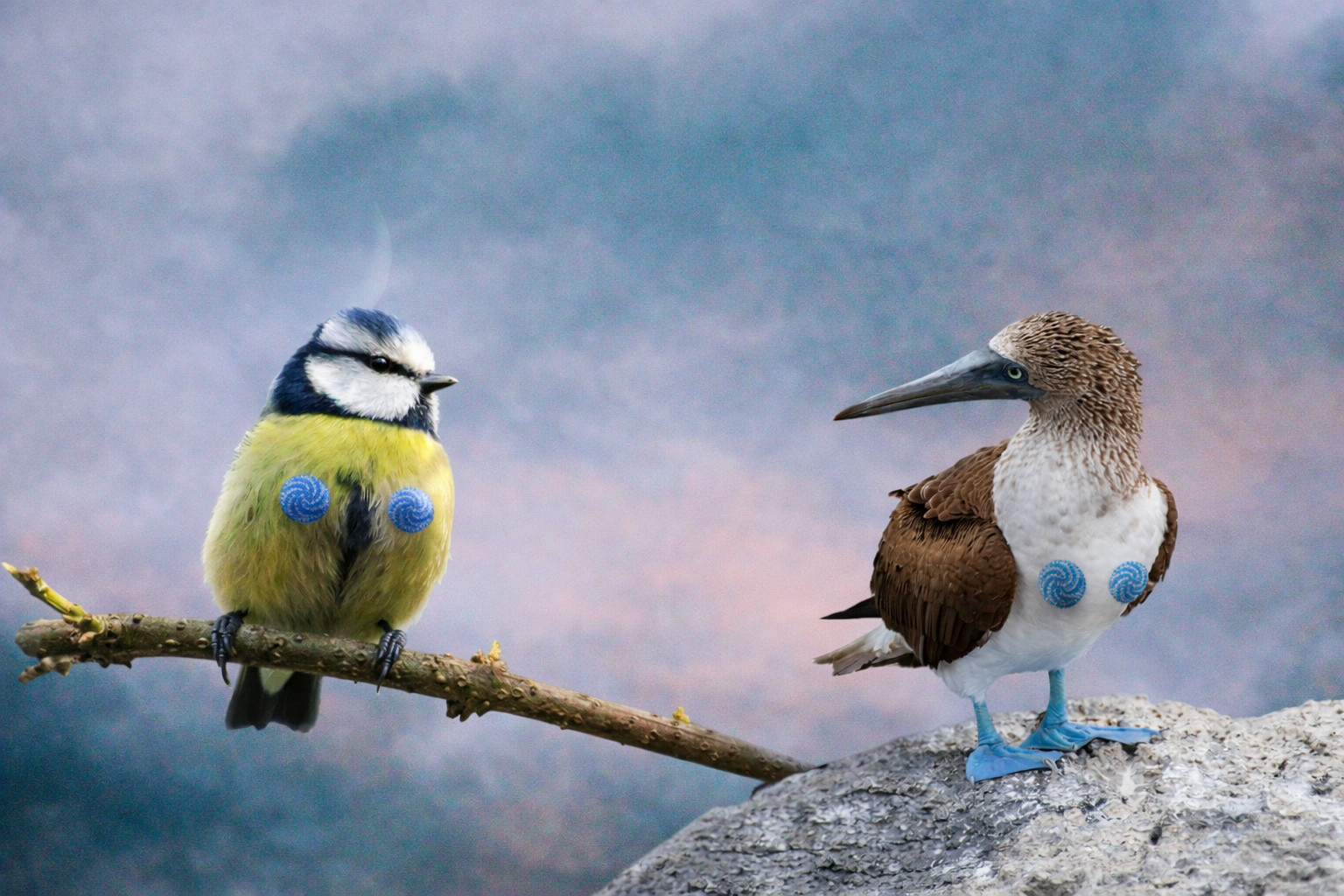 Dark Side Burlesque’s Hornithology: A Drag & Burlesque Tribute to Birds!